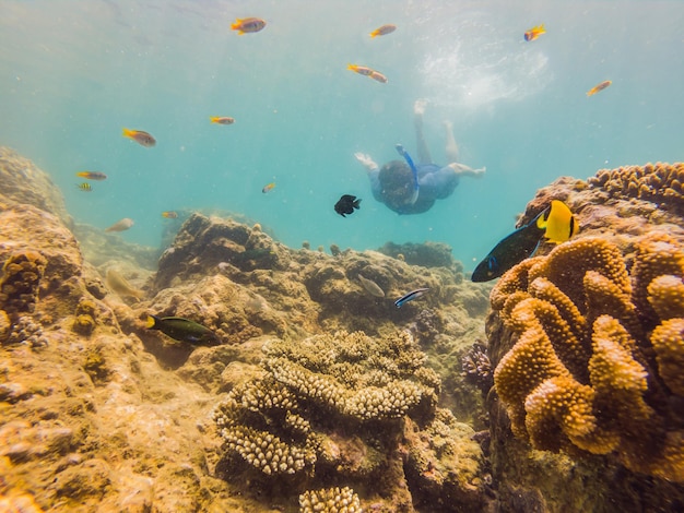 Jonge mannen die aan het snorkelen zijn en de onderwaterlandschapsachtergrond van het koraalrif in de diepblauwe oceaan verkennen met kleurrijke vissen en zeeleven