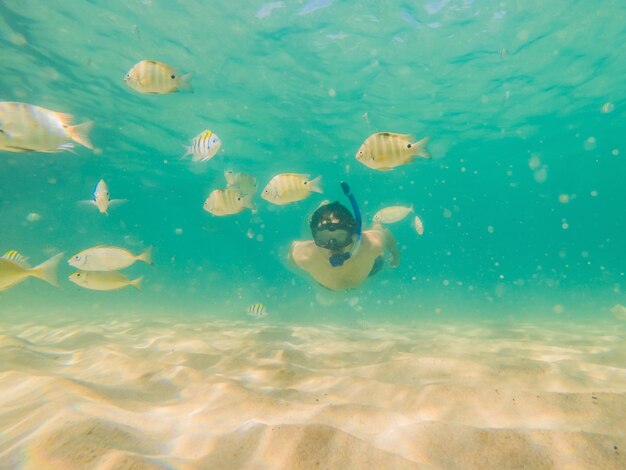 Jonge mannen die aan het snorkelen zijn en de onderwaterlandschapsachtergrond van het koraalrif in de diepblauwe oceaan verkennen met kleurrijke vissen en zeeleven