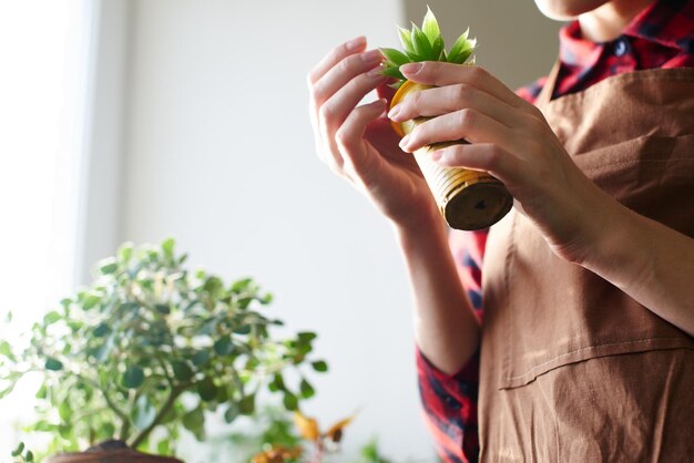 Jonge meisjesbloemist die een spruit van een kamerplant houdt