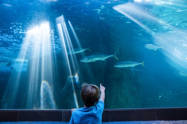 Jonge mens die vissen in een tank met zijn vinger richt