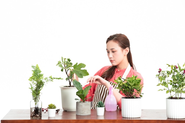 Foto jonge moeder plantte een kleine boom in een pot