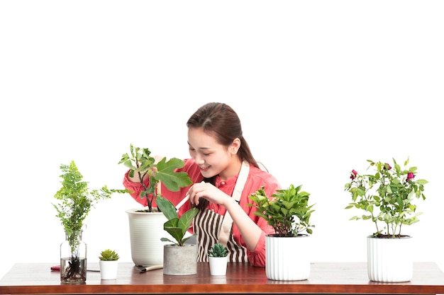 Foto jonge moeder plantte een kleine boom in een pot