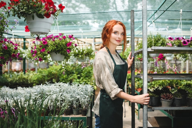 Jonge mooie bloemist in schort die rond prachtige bloemen staat en dromerig in de camera kijkt terwijl hij in een grote kas werkt