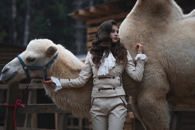 Jonge mooie brunette in een ruiterkostuum naast een grote witte kameel met twee bultenbos in de b...