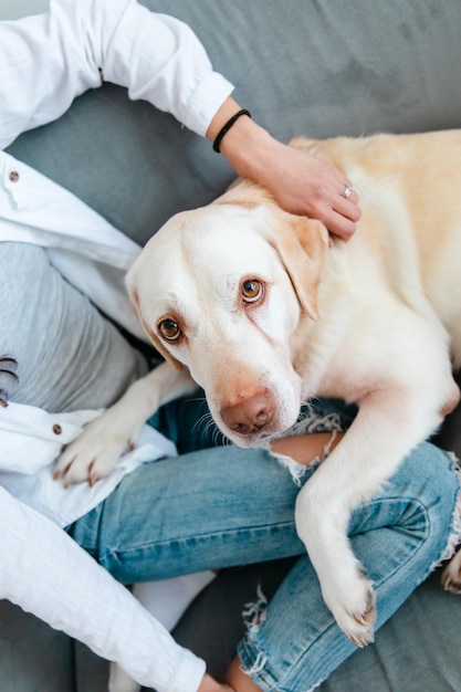 Jonge mooie vrouw in vrijetijdskleding knuffelt haar geliefde grote hond terwijl ze op de bank in de woonkamer zit