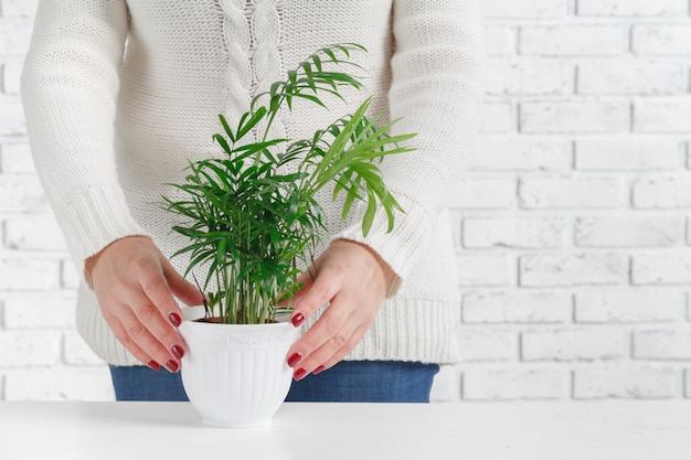 Jonge mooie vrouw met potplant