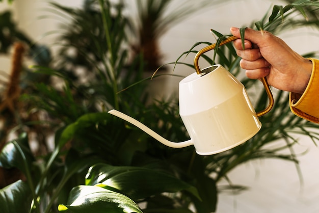 Jonge mooie vrouw planten water geven