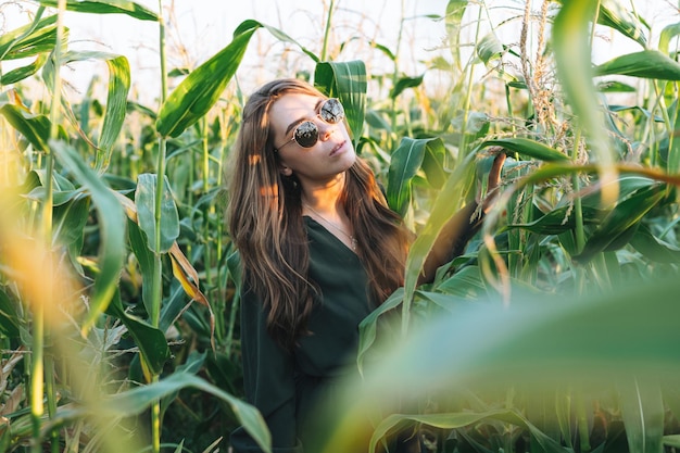 Jonge, mooie, zorgeloze, lachende vrouw met lang haar in de zonnebril in het maïsveld bij zonsondergang Gevoeligheid voor natuurconcept