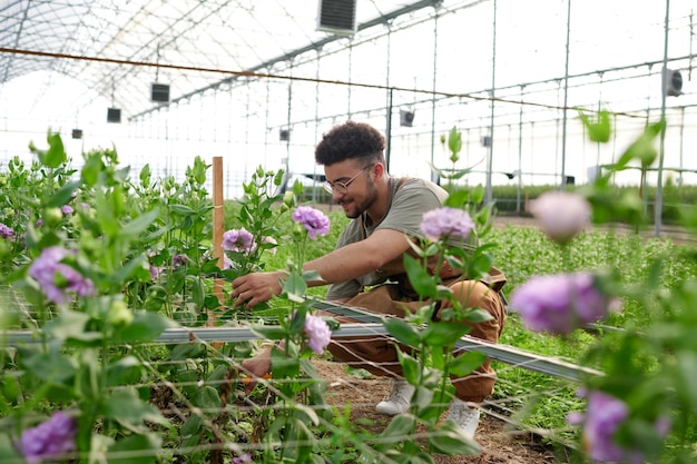 Jonge multi-etnische mannelijke werknemer van een tuincentrum die voor bloemen zorgt