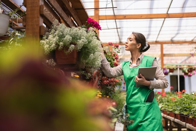 Jonge ondernemersvrouw die digitale tablet gebruikt tijdens het controleren van bloemen in een kas.