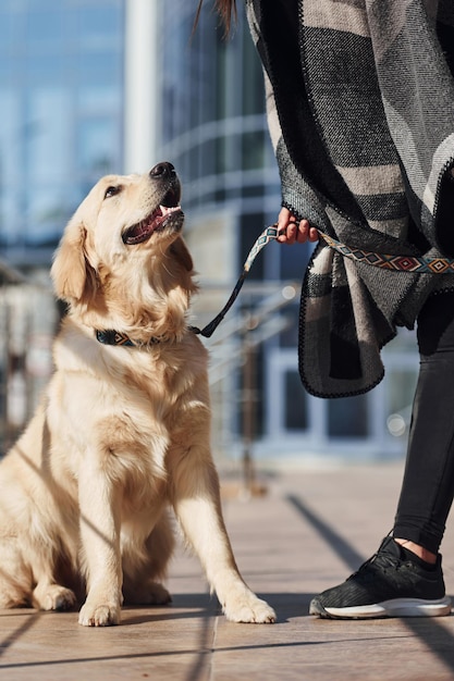 Jonge positieve vrouw heeft plezier met haar hond als ze buiten wandelt in de buurt van een bedrijfsgebouw