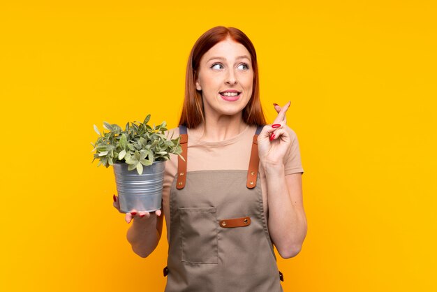 Jonge redhead tuinmanvrouw die een installatie over geïsoleerde geel met vingers kruising houden