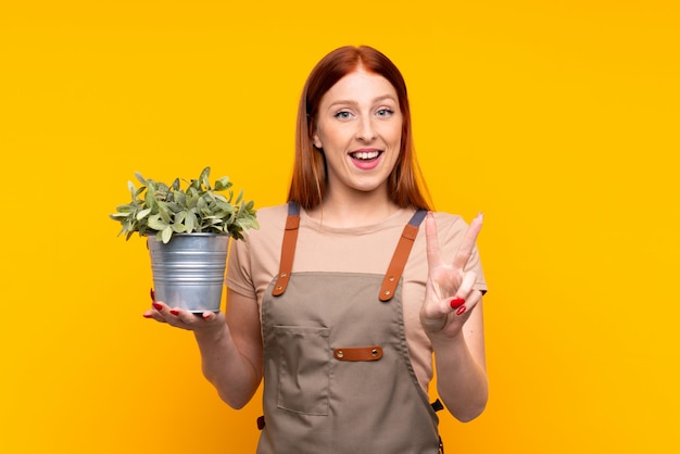 Jonge redhead tuinmanvrouw die een installatie over geïsoleerde gele muur houden die en overwinningsteken glimlachen tonen