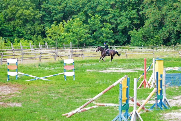 Jonge ruiter bij springconcours Ruiter springt over hindernis