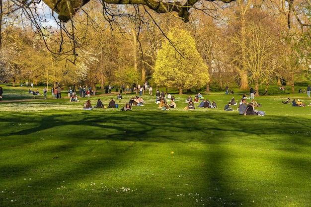 Jonge studenten en vrienden rusten en hebben plezier op het groene gras van St James' Park in Londen