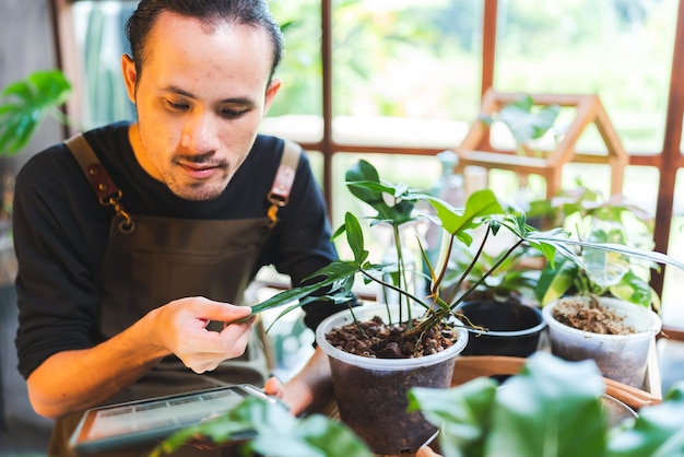 Jonge tuinieren een plant in hobby thuis natuur bloemist persoon levensstijl in groen concept