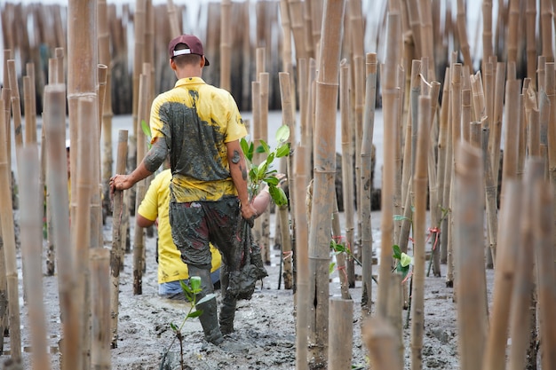 Jonge vrijwilliger plant mangrovebomen bij herbebossing