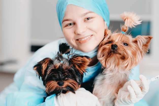 jonge vrouw arts dierenarts met twee honden yorkshire terriers liefde voor huisdieren