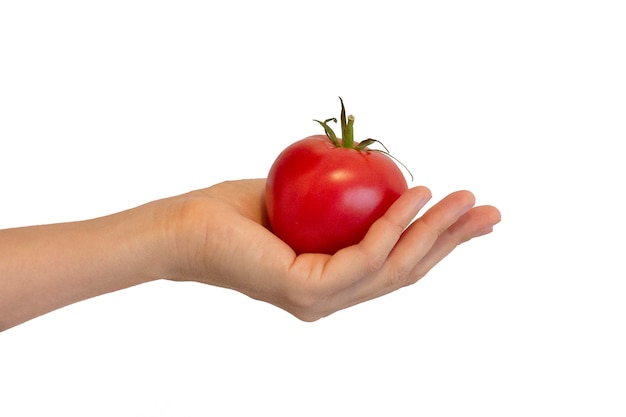 Jonge vrouw die een tomaat op witte achtergrond houdt