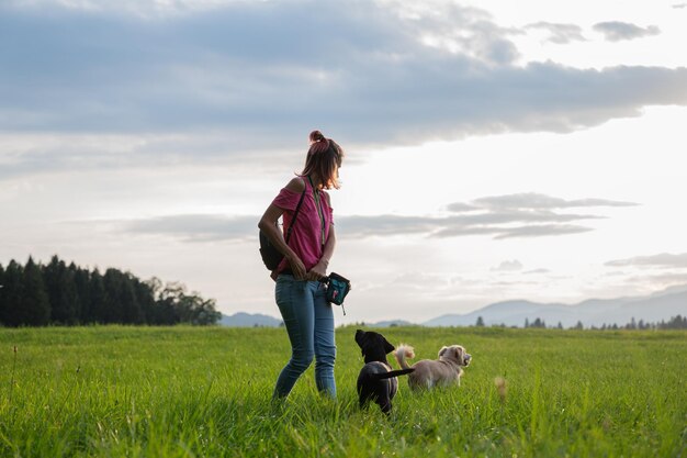 Jonge vrouw die in een prachtige groene weide staat en haar twee honden traint