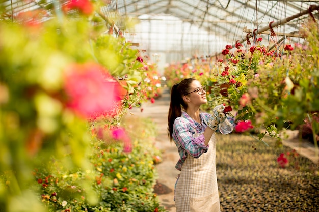 Jonge vrouw die met de lentebloemen werkt in de serre