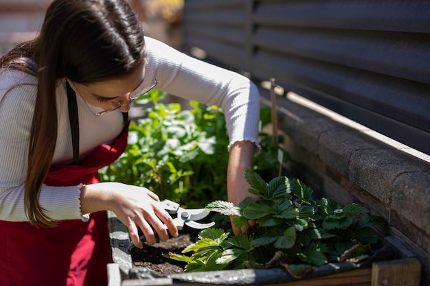 Jonge vrouw die planten snijdt