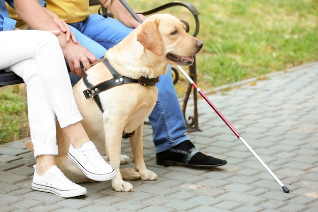 Foto jonge vrouw en blinde man met geleidehond zittend op een bankje in park