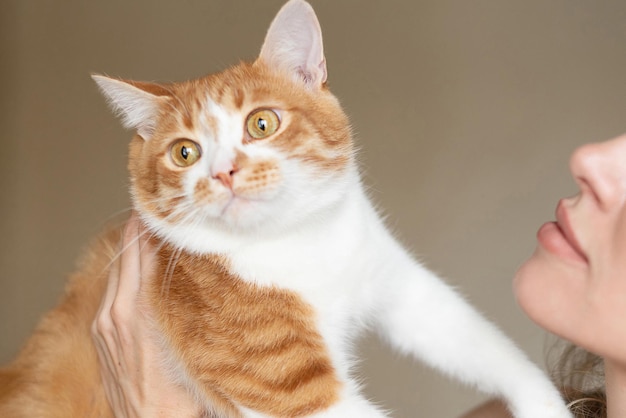 Jonge vrouw houdt schattige gemberkat op haar handen