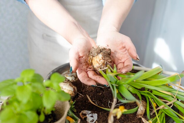 Jonge vrouw in blauwe jurk plant bloemen op het lente terras in het huis tuin zaailingen groeien landhuis veranda