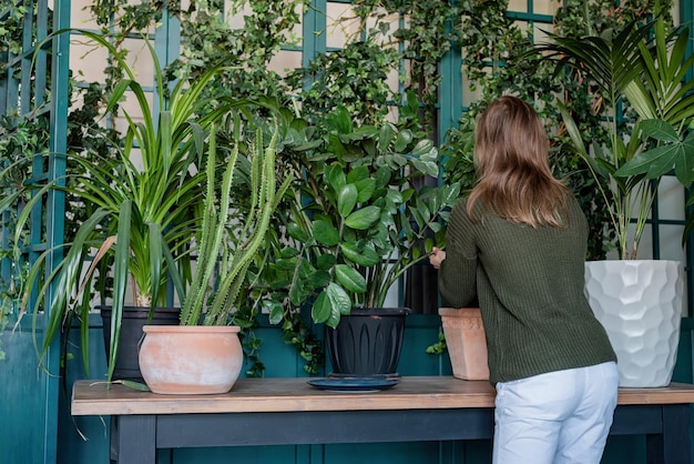 Jonge vrouw in groene trui die thuis voor de planten zorgt