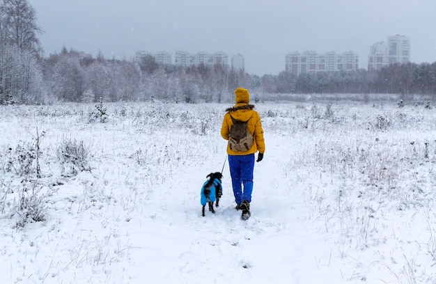 Jonge vrouw in het geel wandelen gemengd ras Bedlington Whippet hond in blauwe overalls in de winter besneeuwd
