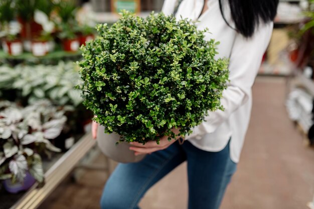 Jonge vrouw kiest kamerplanten in een bloemenwinkel