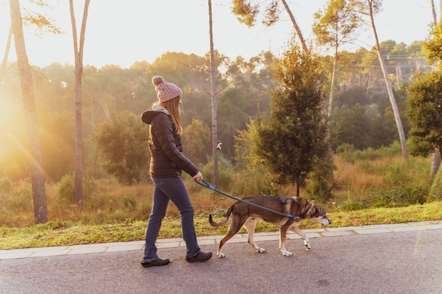 Jonge vrouw loopt met haar hond in de natuur met de stralen van de ochtendzon, warme gloed en lange schaduwen