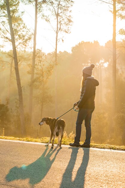 Jonge vrouw loopt met haar hond in de natuur met de stralen van de ochtendzon, warme gloed en lange schaduwen
