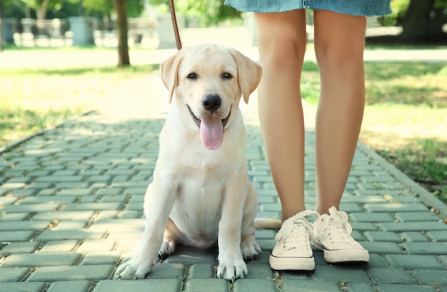 Jonge vrouw met gele retriever in park