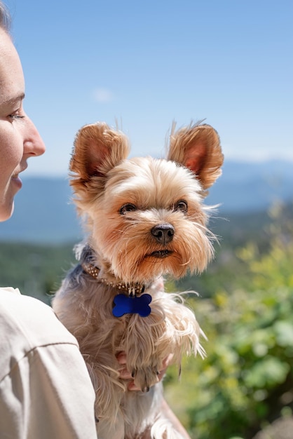 Jonge vrouw met kleine hond puppy yorkshire terrier wandelen in de bergen