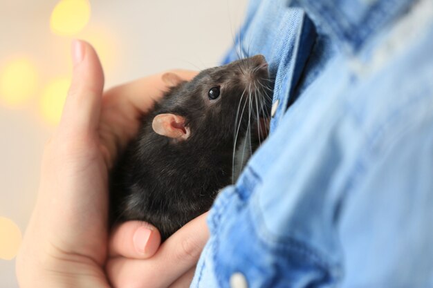 Jonge vrouw met schattige rat, close-up