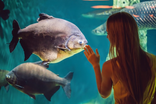 Foto jonge vrouw raakt een pijlstaartrog aan in een oceanariumtunnel