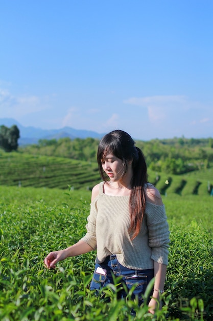 Jonge vrouw staat in de theeplantage omringd door uitzicht op de lucht en de bergen. Choui Fong-theeaanplanting in Chiangrai, Thailand.