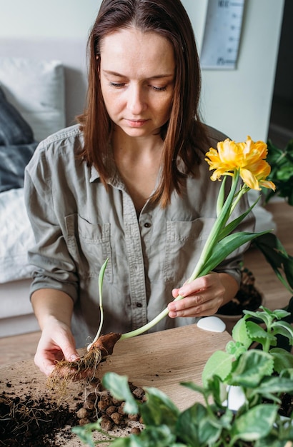 Foto jonge vrouw transplanteert voorjaarsmest voor huisbloemen