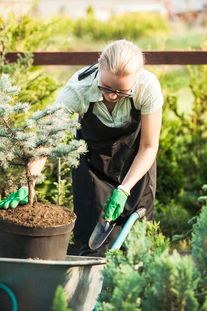 Jonge vrouw-tuinman plant een plant in vruchtbare grond