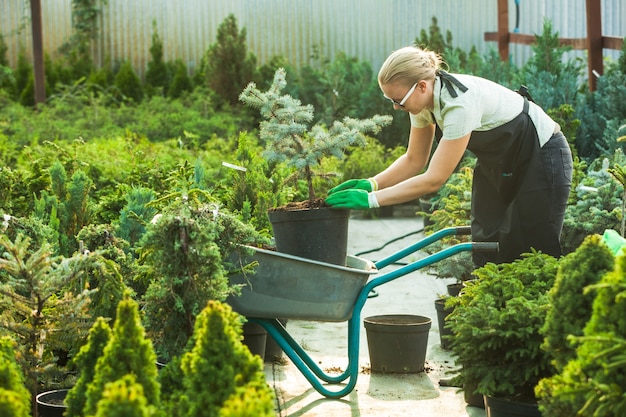 Jonge vrouw-tuinman plant een plant in vruchtbare grond