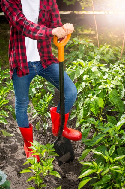 Jonge vrouwelijke boer poseren met schop op tuinbed op zonnige dag