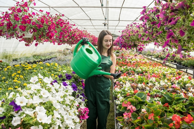 Jonge vrouwelijke kinderdagverblijf die schoonheidsbloemen in haar serre drenken. Concept van het verzorgen van planten