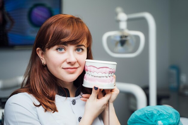 Jonge vrouwelijke tandarts die tandkaakmodel Tandartshulpmiddelen houdt