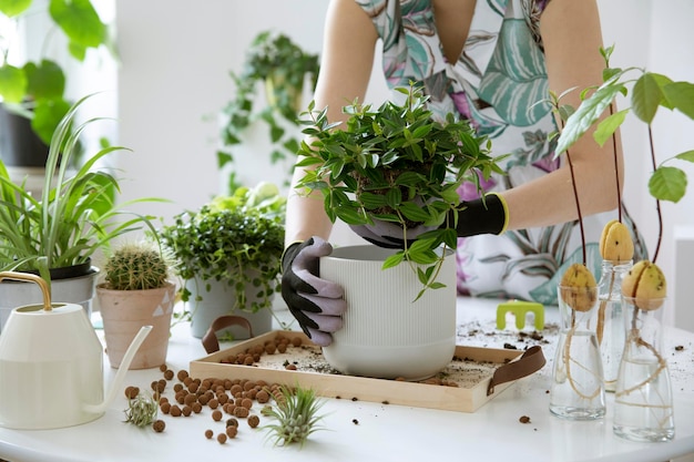 Jonge vrouwelijke tuinman zorgt voor groene planten in stijlvolle marmeren keramische potten Planten houden van Concept van huistuin Lentetijd Stijlvol interieur met veel planten Sjabloon