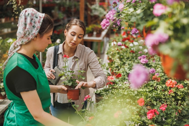 Jonge vrouwelijke vrijwilligster plantenkwekerij helpt een jonge vrouw met het kiezen en kopen van bloemen.