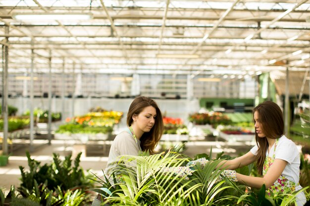 Jonge vrouwen in bloementuin