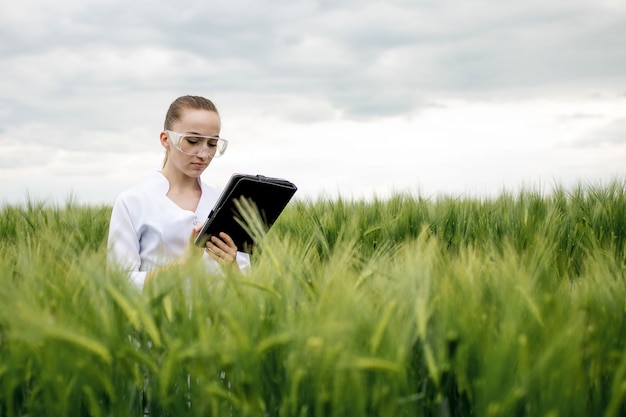Jonge vrouwenboer die een witte badjas draagt, controleert de voortgang van de oogst op een tablet op het groene tarweveld. Er groeit een nieuwe tarweoogst. Landbouw- en boerderijconcept.