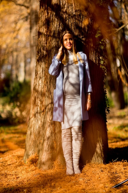 Jonge zwangere vrouw in het de herfstbos